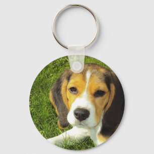 Llavero Beagle Keychain