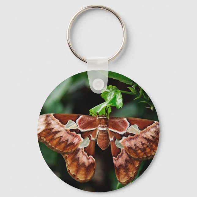 Llavero Beautiful Atlas Moth (Anverso)