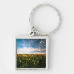 Llavero beautiful sun flowers field with cloudy blue sky a