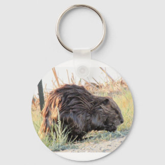 Llavero Beaver Keychain