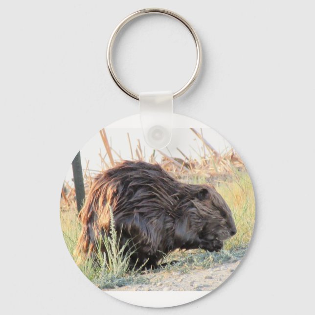 Llavero Beaver Keychain (Anverso)