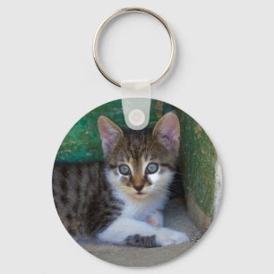 Llavero Bebé de gato dulce tigre