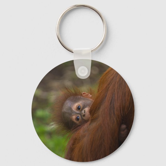 Llavero Bebé de Orangután Con Un Peek (Anverso)