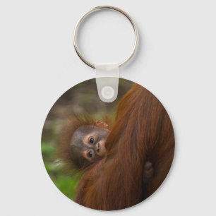 Llavero Bebé de Orangután Con Un Peek