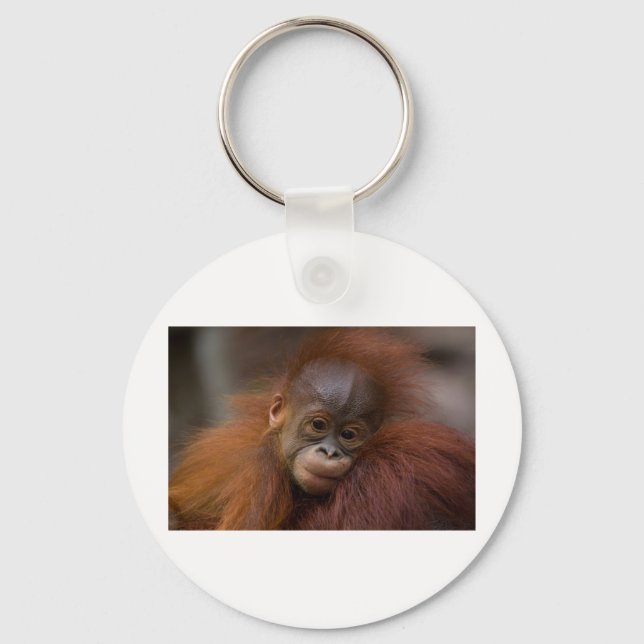 Llavero Bebé de Orangutang (Anverso)