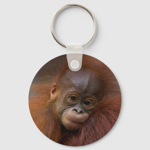 Llavero Bebé de Orangutang