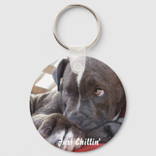 Llavero Bebé editable Pitbull