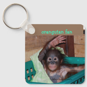 Llavero Bebé orangután en el santuario