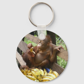 Llavero Bebé orangután en la cadena de claves BorneoButton