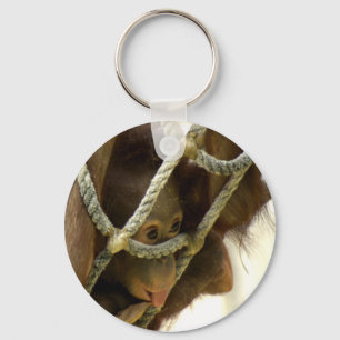 Llavero Bebé Orangutan Keychain