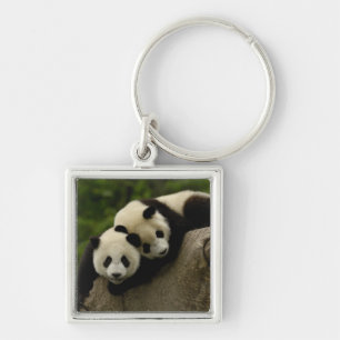 Llavero Bebés de panda gigante (Ailuropoda melanoleuca)
