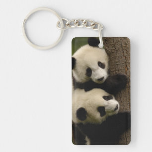 Llavero Bebés de panda gigante (Ailuropoda melanoleuca) 2