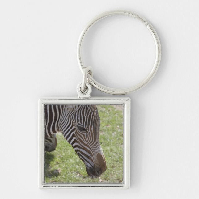 Llavero Bedfordshire, Inglaterra (Frente)