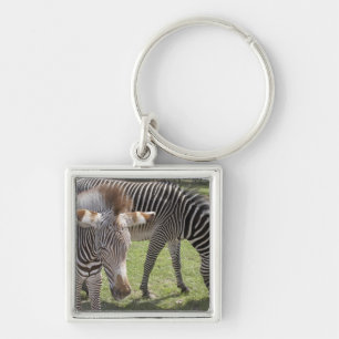 Llavero Bedfordshire, Inglaterra