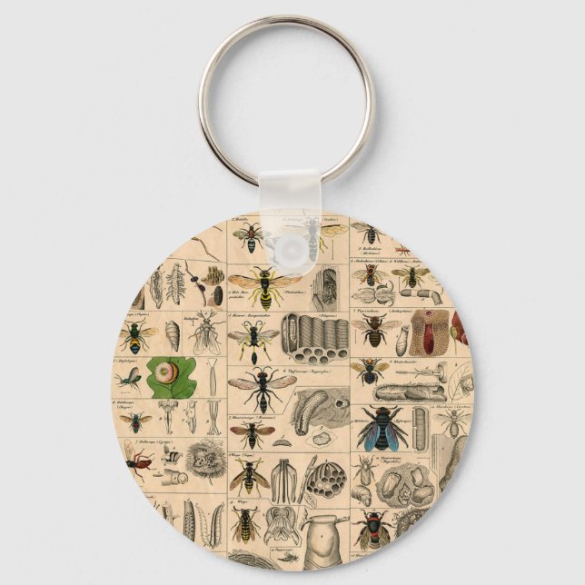 Llavero Bee Insect Bug Wasp Abejas de Historia Natural (Anverso)