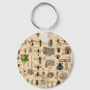 Llavero Bee Insect Bug Wasp Abejas de Historia Natural