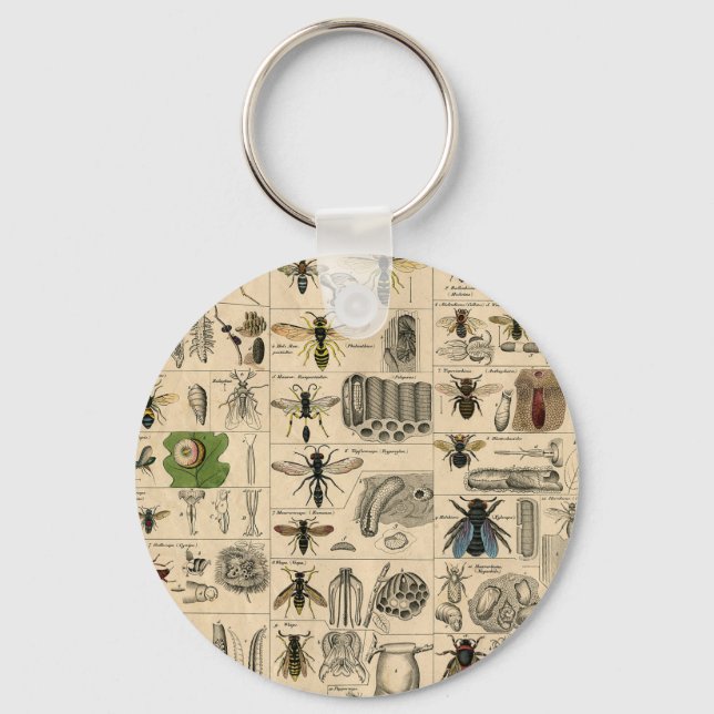 Llavero Bee Insect Bug Wasp Abejas de Historia Natural (Anverso)