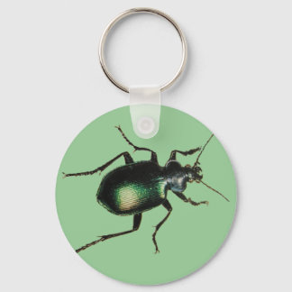 Llavero Beetle