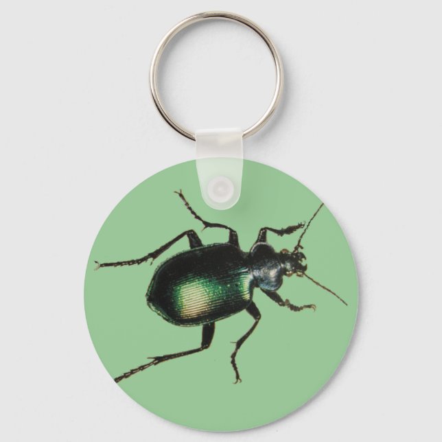 Llavero Beetle (Anverso)