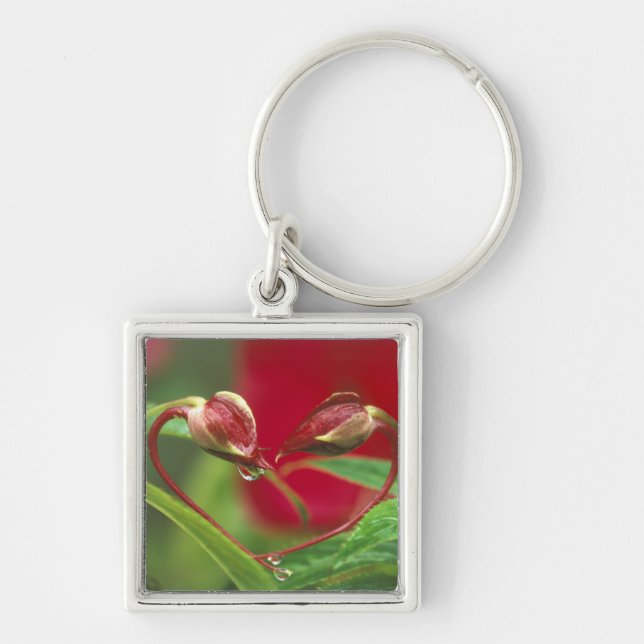 Llavero Begonia Buds en forma de corazón con gotas. Crédit (Frente)