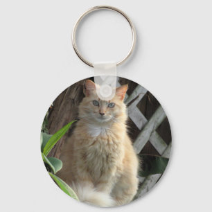 Llavero Belleza - El gato más bello perdido - Cadena de te