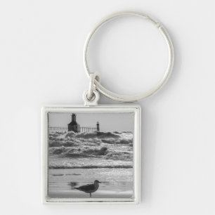 Llavero Belleza Y Escala De Grises Forzadas