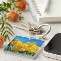 Bellos Daffodis Amarillos