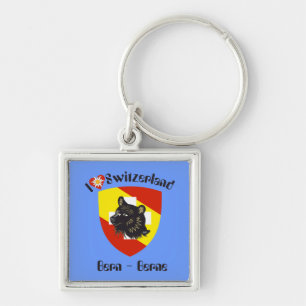 Llavero Bern Berna Schweiz Suisse Svizzera Svizra