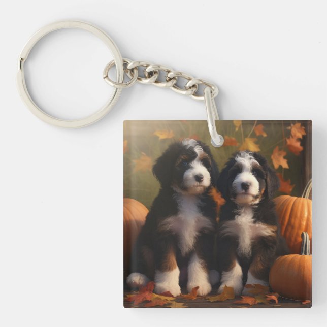 Llavero Bernedoodle Puppy Autumn Delight Pumpkin (Frente)