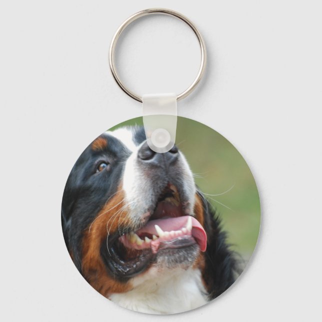 Llavero Berner Sennenhund Dog Keychain (Anverso)