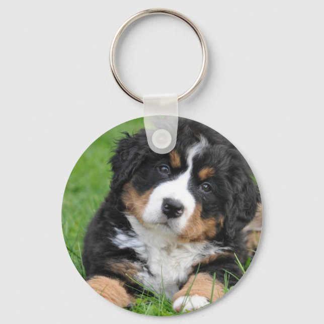 Llavero Bernese Mountain Dog (Anverso)