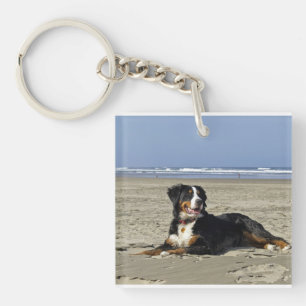 Llavero bernese-perro-montaña en la playa.png