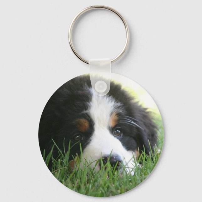 Llavero Bernese Puppy (Anverso)