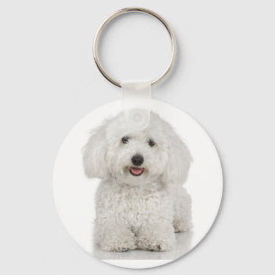 Llavero Bichon Frise Keychain