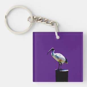 Llavero Bin Chicken, (ibis), Oil Paint, Keyring