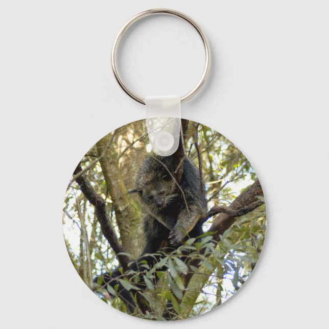 Llavero Binturong Bearcat Keychain (Anverso)