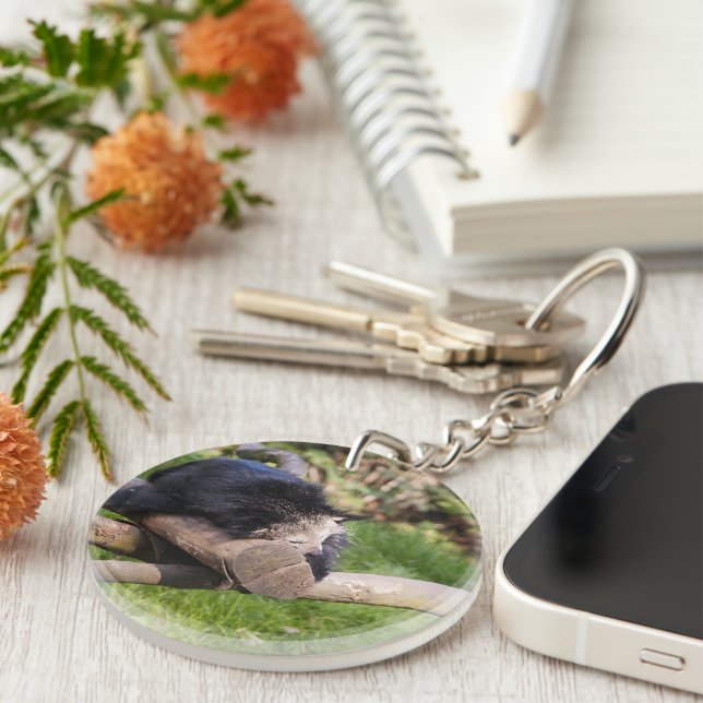 Llavero Binturong durmiente (Frente Derecha)