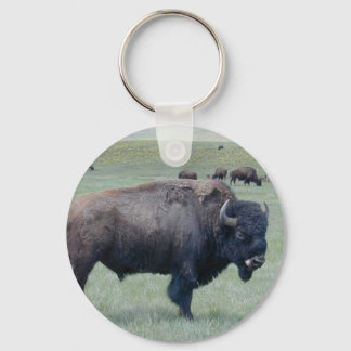 Llavero Bison