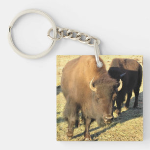 Llavero Bison de Colorado