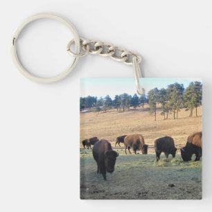 Llavero Bison en Colorado