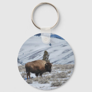 Llavero Bison in the Winter Mountains of Yellowstone