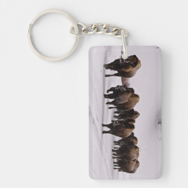 Llavero Bison in Winter (Frente)