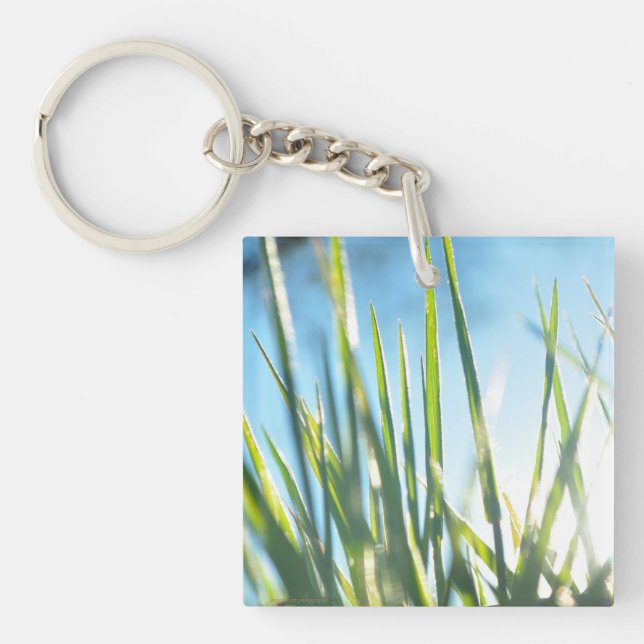 Llavero Blades iluminados por el sol (Frente)