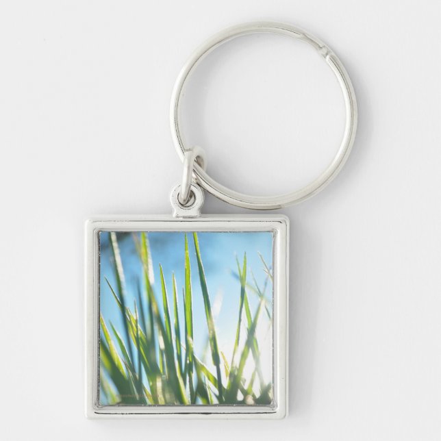 Llavero Blades iluminados por el sol (Frente)