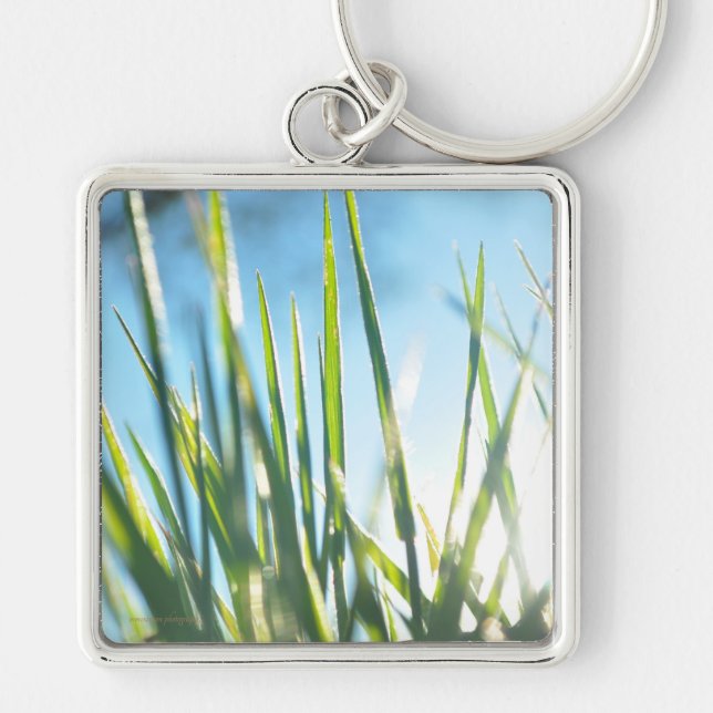 Llavero Blades iluminados por el sol (Frente)