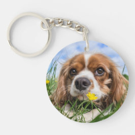 Llavero Blenheim Cavalier King Charles Spaniel Perro de Ca