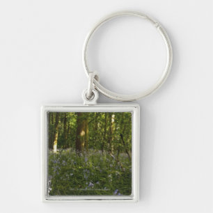 Llavero Bluebells en un bosque