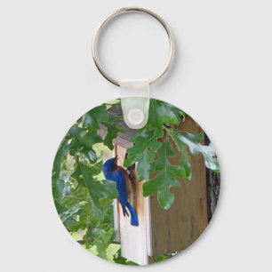 Llavero Bluebird en casa
