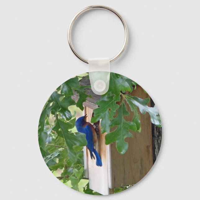 Llavero Bluebird en casa (Anverso)