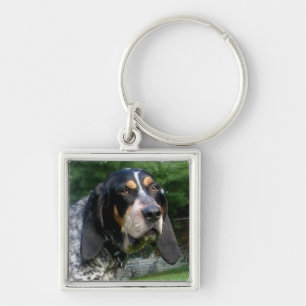 Llavero Bluetick Coonhound.png